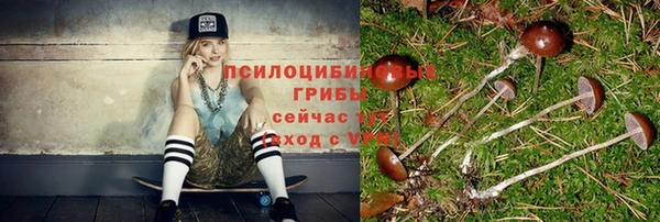 соль ск Киреевск