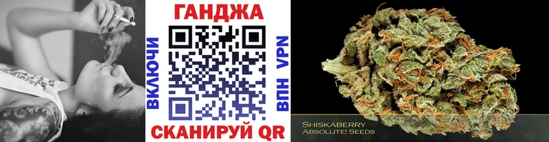 дарнет шоп  Снежногорск  Канабис гибрид 